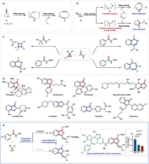 bet fuse|Ring Transformation of Cyclopropenes to Benzo‐Fused .